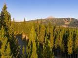 TBD Sweetroot Fork - Photo 12