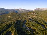 TBD Sweetroot Fork - Photo 16