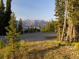 TBD Sweetroot Fork - Photo 3