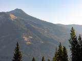 TBD Sweetroot Fork - Photo 7
