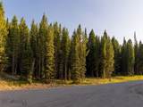 TBD Sweetroot Fork - Photo 8