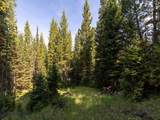 TBD Sweetroot Fork - Photo 9