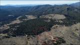 91 Upper Radar Creek Road - Photo 1
