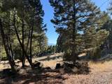 91 Upper Radar Creek Road - Photo 11
