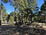 91 Upper Radar Creek Road - Photo 12
