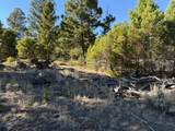 91 Upper Radar Creek Road - Photo 13