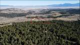 91 Upper Radar Creek Road - Photo 2