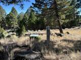91 Upper Radar Creek Road - Photo 9