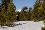 TBD Seclusion Point Lot 154 - Photo 9