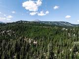 Lot 157 Seclusion Point - Photo 15