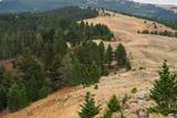 20 ac Alpine Springs Trail - Photo 1