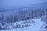 tbd Ulery's Lakes Road - Lot 12A - Photo 17