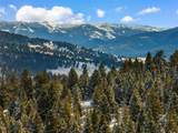 Lot 30 Colters Run Loop - Photo 14