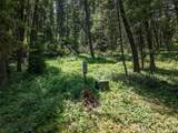 TBD Gallatin Road - Photo 11