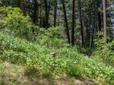 TBD Gallatin Road - Photo 17