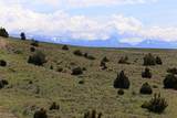 1069 Yucca Pass Road - Photo 6