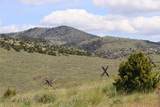1069 Yucca Pass Road - Photo 8