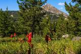 TBD Beehive Basin Lot 132A-1 Road - Photo 19