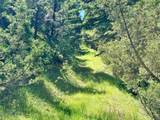 18600 Pole Gulch - Photo 20