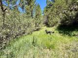 18600 Pole Gulch - Photo 22
