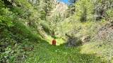 18600 Pole Gulch - Photo 24