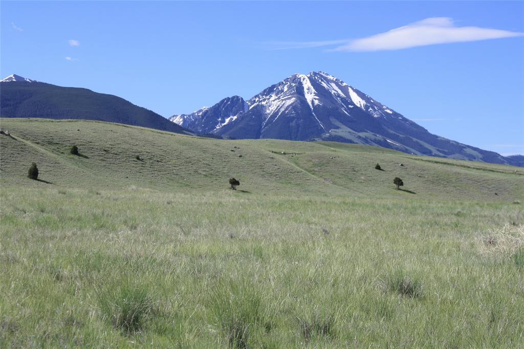 Lot 27 Brown Pony Trail - Photo 1