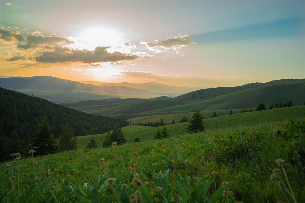 NHN Coppedge Gulch Road - Photo 1