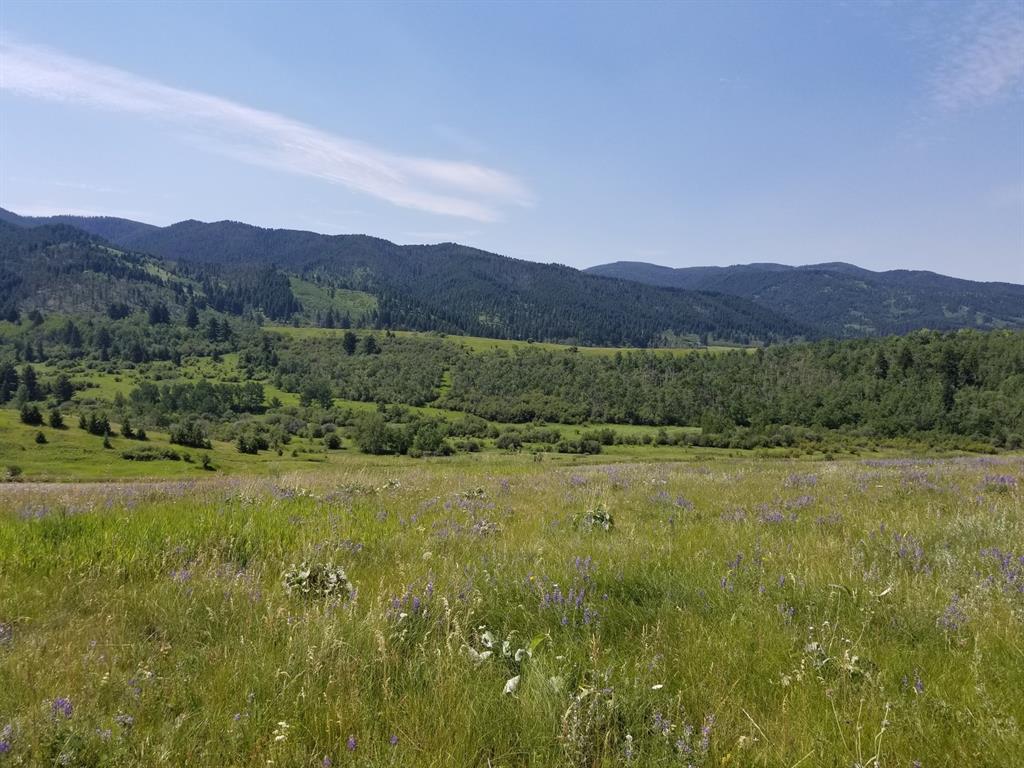 Lot 4 Columbine Lane - Photo 1