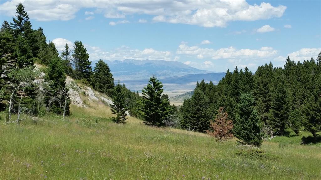 LV18 Livingston Peak - Photo 1