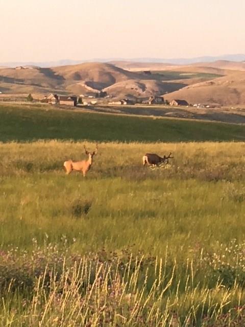 Lot 36 Mountain Vista Estates - Photo 1