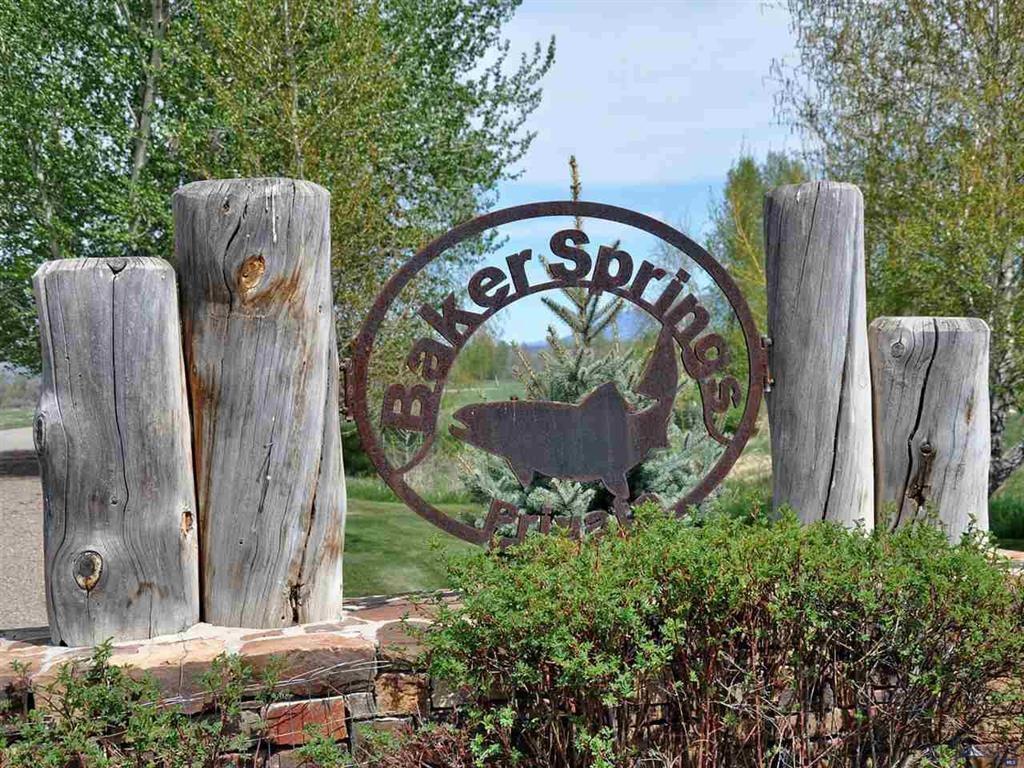 TBD Baker Springs - Photo 1