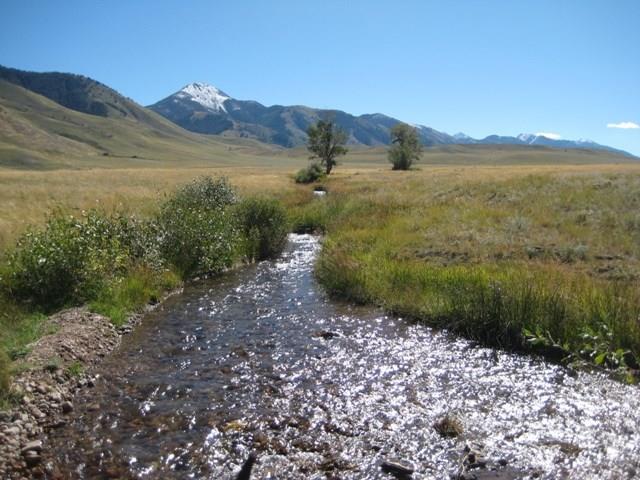 Tract 11 Rising Sun Rd Estates - Photo 1