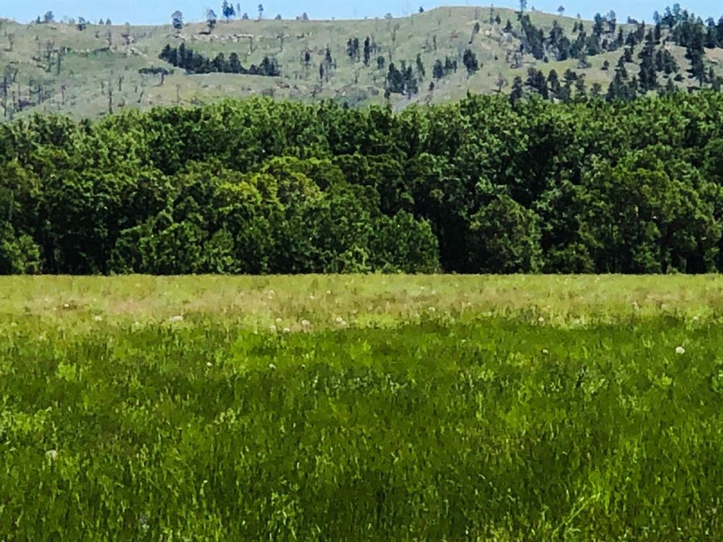 Lot 131 Balfour Loop Road - Photo 1