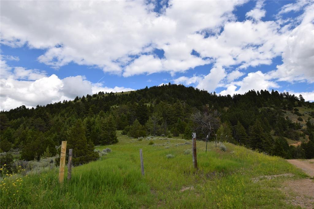 Lot 328B Lone Wolf Trail - Photo 1