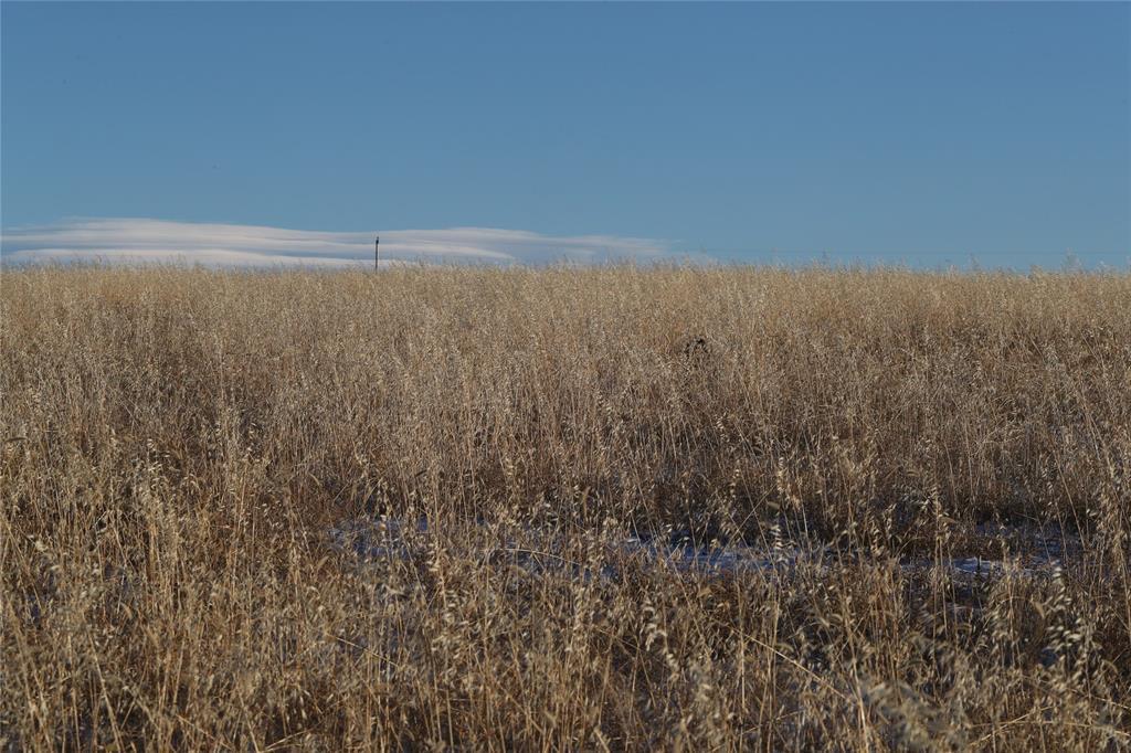 TBD Lot 1A-6 Dimanche - Photo 1