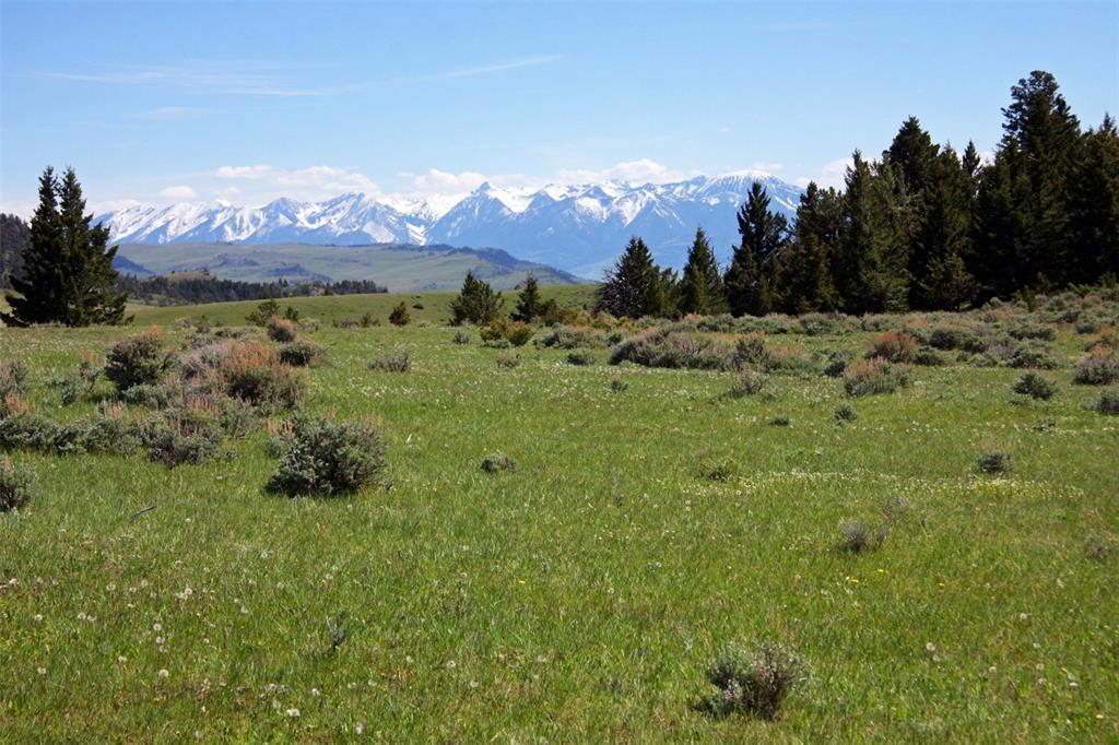 TBD Rock Creek Road - Photo 1