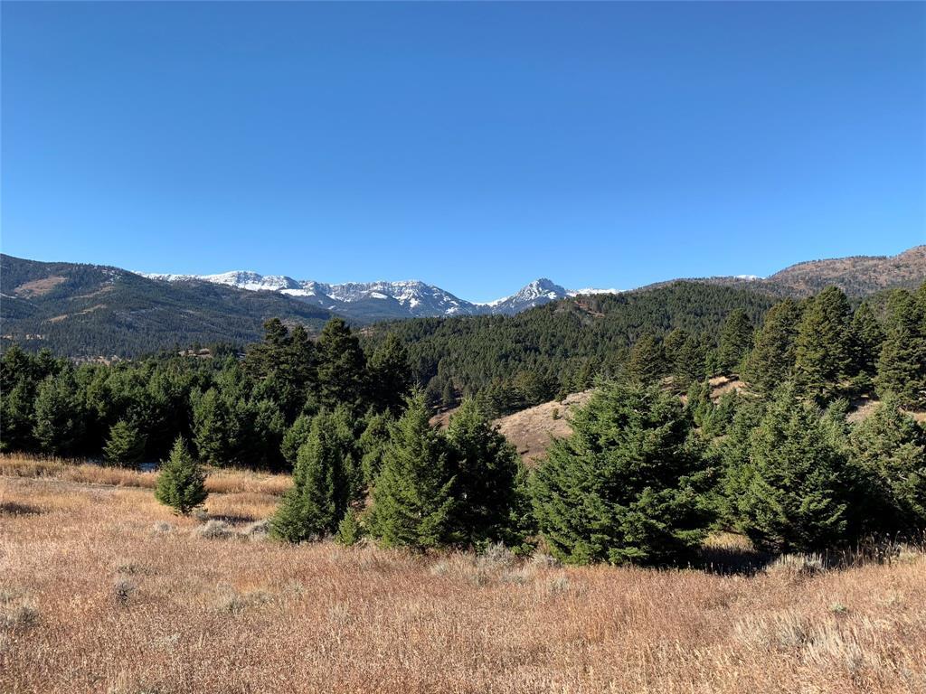 TBD Horse Creek Road - Photo 1