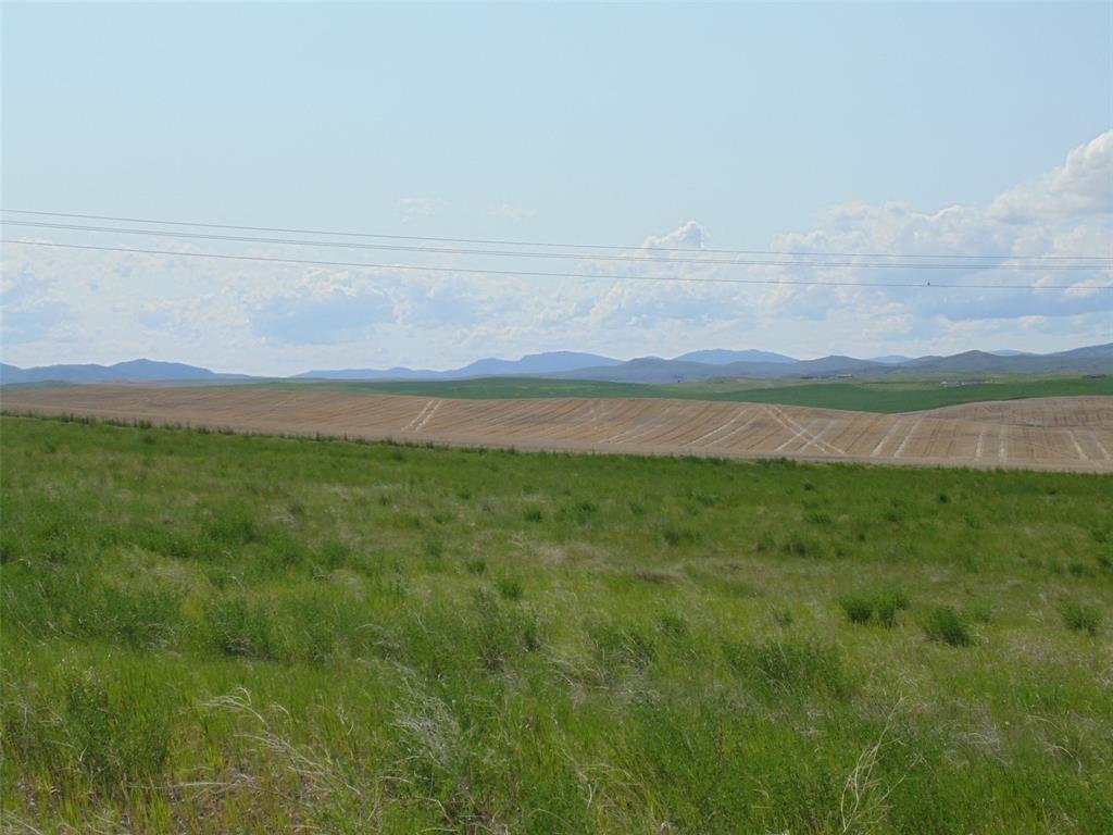 Lot 30 Scarlet Trail - Photo 1
