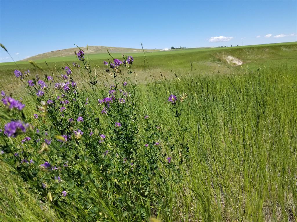 289 Hilltop Vista Loop - Photo 1