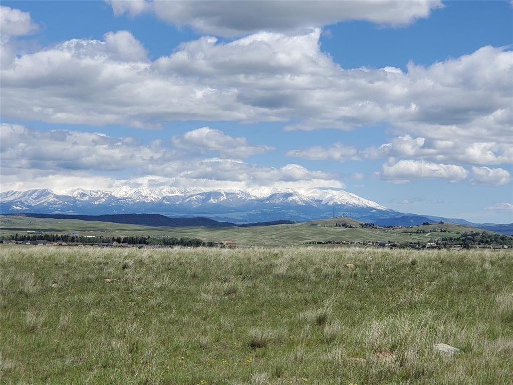 Lot 11 Broken Horn Trail - Photo 1