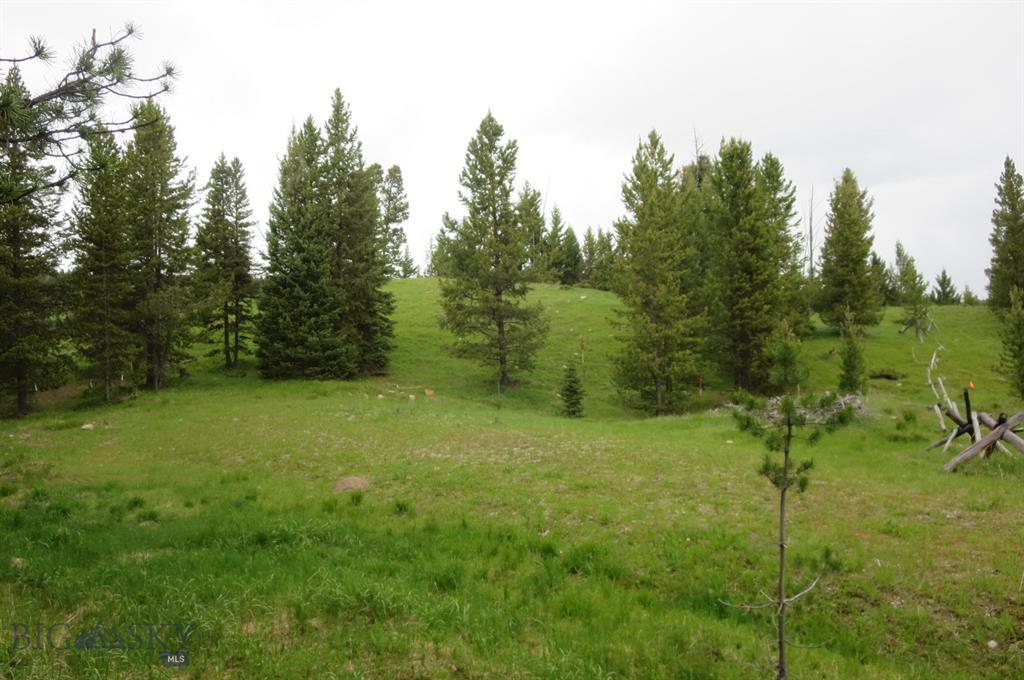 TBD Buck Ridge Trail - Photo 1