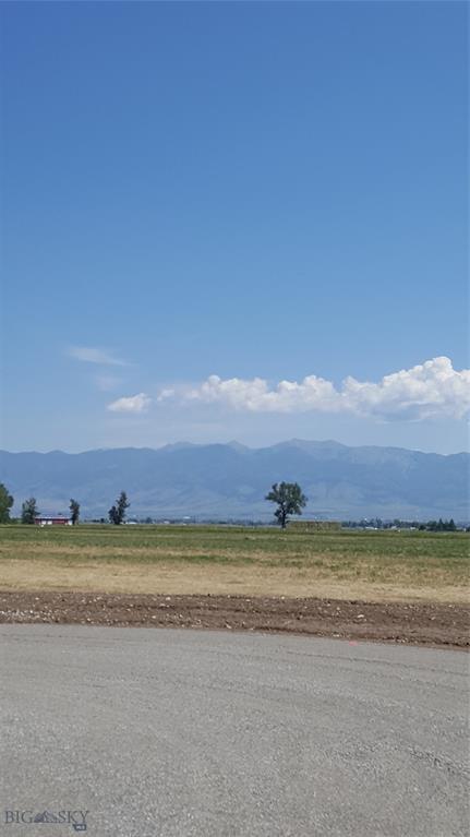 1500 Cameron Bridge Road - Photo 1