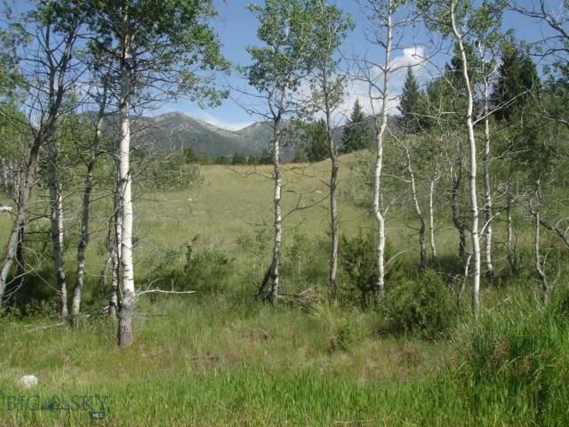 Lot 1 Lime Spur Road - Photo 1