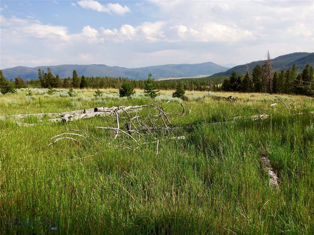 tbd Lowland Road Tract C - Photo 1