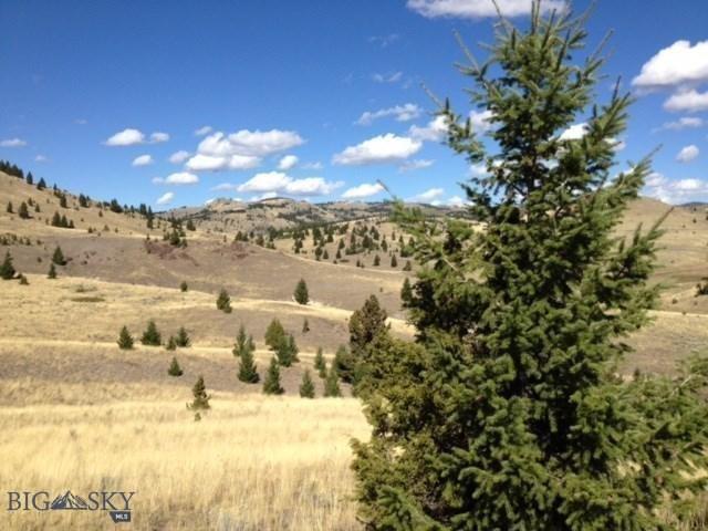 TBD Frog Pond Road - Photo 1