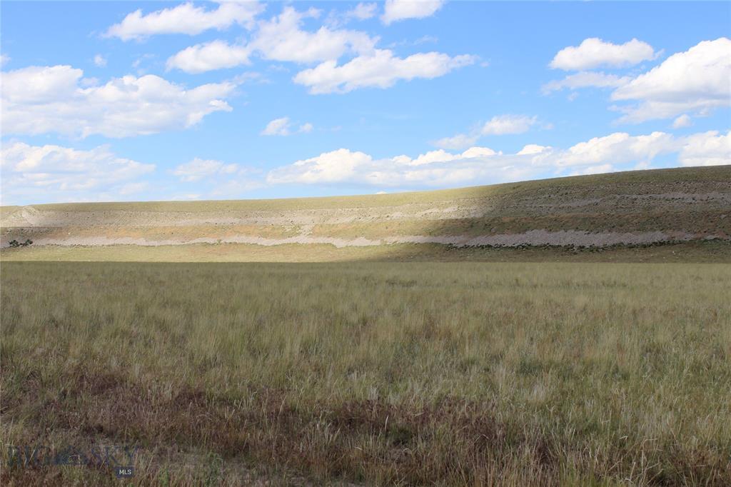 Lot 40 Sphinx Mountain Subdivision - Photo 1