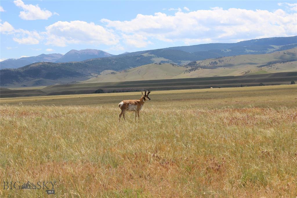Lot 41 Sphinx Mountain Subdivision - Photo 1