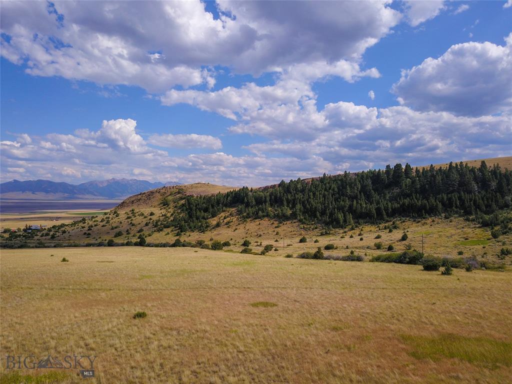 Lot 179 Cold Creek Loop Trail - Photo 1