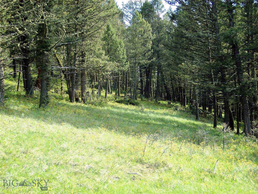 NHN Lot 1 Butler Hill - Photo 1