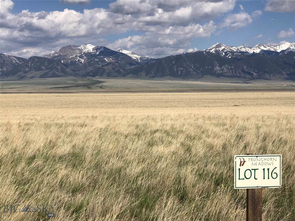 116 Pronghorn Meadows - Photo 1